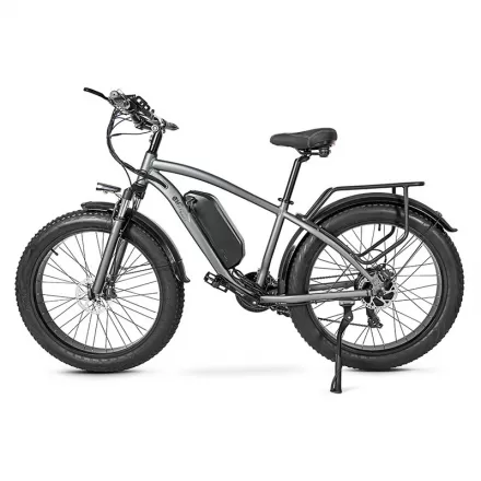 Adult Speed Off Road Power Assist Bicycle Outdoor Electric Mountain Bike
