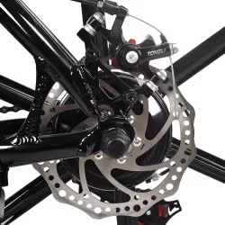 Fat Tire Cycling Ebike Adult Speed Off Road Power Assist Bicycle Outdoor Electric Mountain Bike
