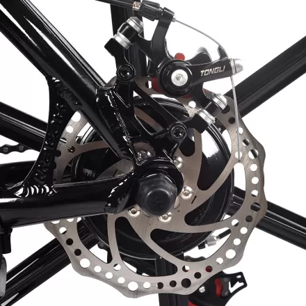 Fat Tire Cycling Ebike Adult Speed Off Road Power Assist Bicycle Outdoor Electric Mountain Bike