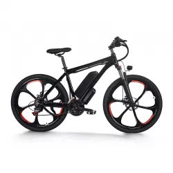 Fat Tire Cycling Ebike Adult Speed Off Road Power Assist Bicycle Outdoor Electric Mountain Bike