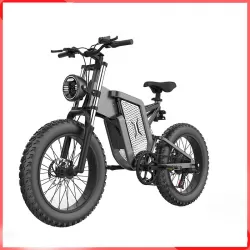 2000W Aluminum Alloy Speed Mountain Hike Adult Off Road Electric Vehicle Snow Sand Electric Bicycle
