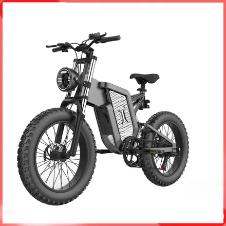2000W Aluminum Alloy Speed Mountain Hike Adult Off Road Electric Vehicle Snow Sand Electric Bicycle