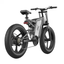 2000W Aluminum Alloy Speed Mountain Hike Adult Off Road Electric Vehicle Snow Sand Electric Bicycle