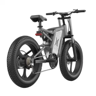 2000W Aluminum Alloy Speed Mountain Hike Adult Off Road Electric Vehicle Snow Sand Electric Bicycle