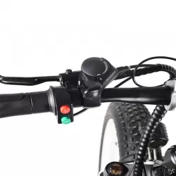 Anti Skid Wear Resistant 2000W Aluminum Alloy Speed Mountain Hike Adult Off Road Electric Vehicle Snow Sand Electric Bicycle