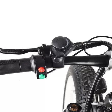 Anti Skid Wear Resistant 2000W Aluminum Alloy Speed Mountain Hike Adult Off Road Electric Vehicle Snow Sand Electric Bicycle