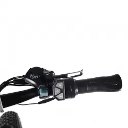 Anti Skid Wear Resistant 2000W Aluminum Alloy Speed Mountain Hike Adult Off Road Electric Vehicle Snow Sand Electric Bicycle