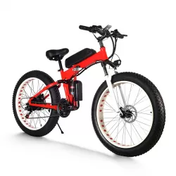 Anti Skid Wear Resistant 2000W Aluminum Alloy Speed Mountain Hike Adult Off Road Electric Vehicle Snow Sand Electric Bicycle