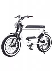 Factory Direct Sale Replacement Retro Snow Off Road Electric Bike Power Assist Mountain Bike