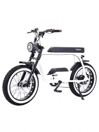 Factory Direct Sale Replacement Retro Snow Off Road Electric Bike Power Assist Mountain Bike