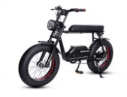 Factory Direct Sale Replacement Retro Snow Off Road Electric Bike Power Assist Mountain Bike