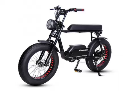 Factory Direct Sale Replacement Retro Snow Off Road Electric Bike Power Assist Mountain Bike