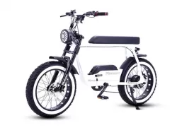 Factory Direct Sale Replacement Retro Snow Off Road Electric Bike Power Assist Mountain Bike