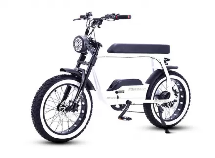 Factory Direct Sale Replacement Retro Snow Off Road Electric Bike Power Assist Mountain Bike
