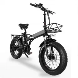 Pedelec Electric Bicycle with Hydraulic Disc Brake Retro Snow Off Road Electric Bike Power Assist Mountain Bike