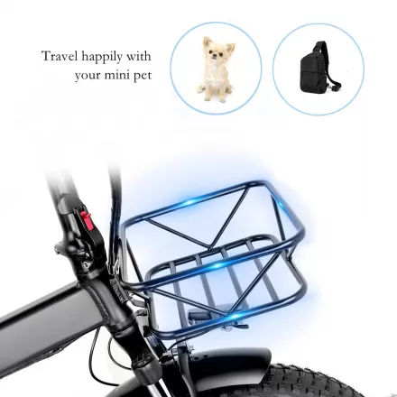 Pedelec Electric Bicycle with Hydraulic Disc Brake Retro Snow Off Road Electric Bike Power Assist Mountain Bike
