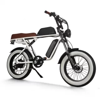 Durable Pedelec Electric Bicycle with Hydraulic Disc Brake Retro Snow Off Road Electric Bike Power Assist Mountain Bike