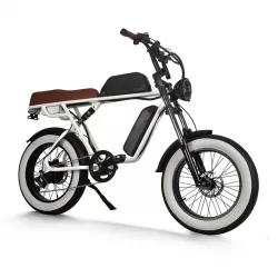 Durable Pedelec Electric Bicycle with Hydraulic Disc Brake Retro Snow Off Road Electric Bike Power Assist Mountain Bike