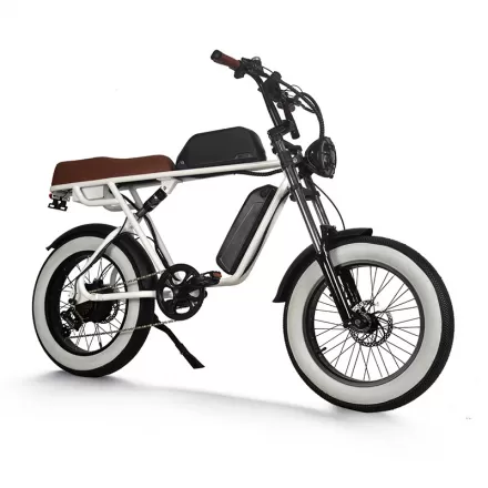 Durable Pedelec Electric Bicycle with Hydraulic Disc Brake Retro Snow Off Road Electric Bike Power Assist Mountain Bike