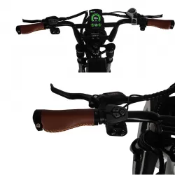 Durable Pedelec Electric Bicycle with Hydraulic Disc Brake Retro Snow Off Road Electric Bike Power Assist Mountain Bike