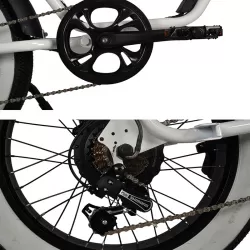 Durable Pedelec Electric Bicycle with Hydraulic Disc Brake Retro Snow Off Road Electric Bike Power Assist Mountain Bike