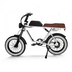 Durable Pedelec Electric Bicycle with Hydraulic Disc Brake Retro Snow Off Road Electric Bike Power Assist Mountain Bike