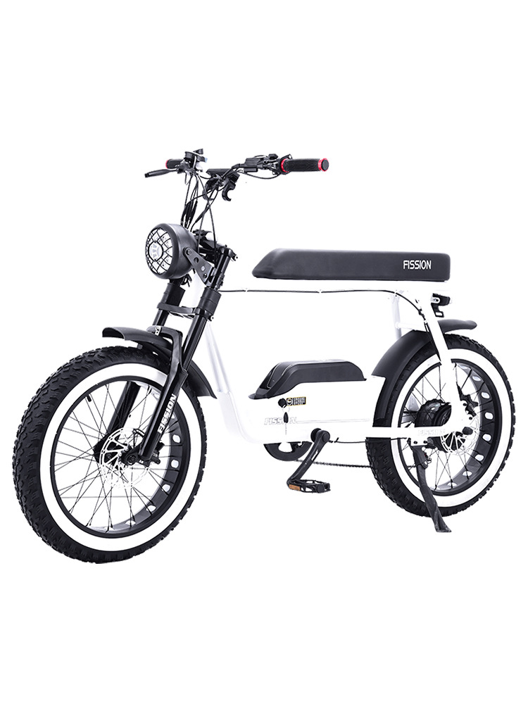 Factory Direct Sale Replacement Retro Snow Off Road Electric Bike Power Assist Mountain Bike