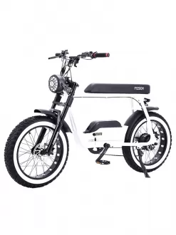 Factory Direct Sale Replacement Retro Snow Off Road Electric Bike Power Assist Mountain Bike