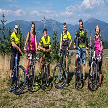 Use Of 48v Battery Mini Adult Electric Bike