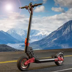 10 Inch Electric Scooter For Adults New Style D20 Aluminum Alloy 48V 500W Double Shock Absorption Foldable Cross Border Overseas Warehouse Electric Scooter