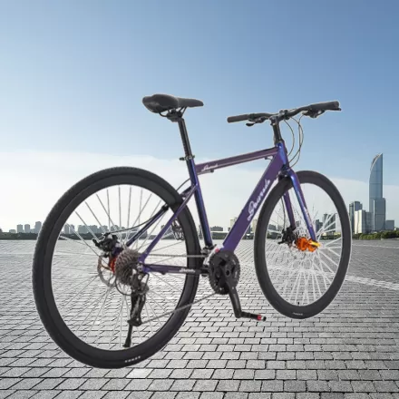 Adult Factory Wholesale Luxury Aluminum Alloy Oil Brake Off Road Speed Variable Sport Race Bike