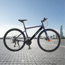 Adult Factory Wholesale Luxury Aluminum Alloy Oil Brake Off Road Speed Variable Sport Race Bike