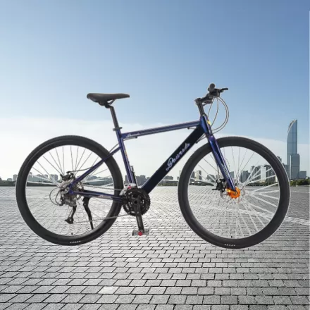 Adult Factory Wholesale Luxury Aluminum Alloy Oil Brake Off Road Speed Variable Sport Race Bike