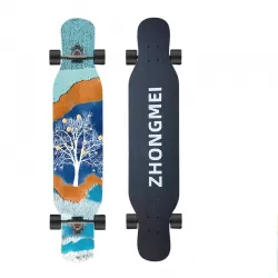 Longboard Skateboard Four Wheel Adult Street Brush Beginner Professional Dance Board Youth Scooter