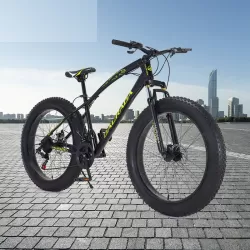 High Carbon Steel Double Disc Brakes Speed Off Road 4.0 Wide Tires Beach Mountain Bike