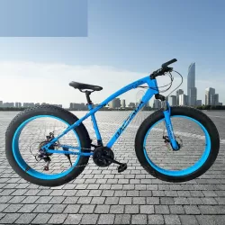 High Carbon Steel Double Disc Brakes Speed Off Road 4.0 Wide Tires Beach Mountain Bike