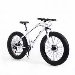High Carbon Steel Double Disc Brakes Speed Off Road 4.0 Wide Tires Beach Mountain Bike