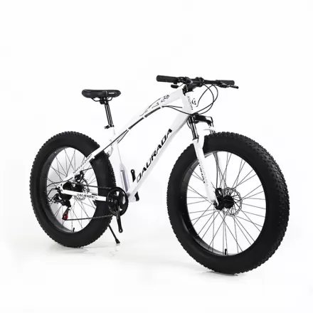 High Carbon Steel Double Disc Brakes Speed Off Road 4.0 Wide Tires Beach Mountain Bike