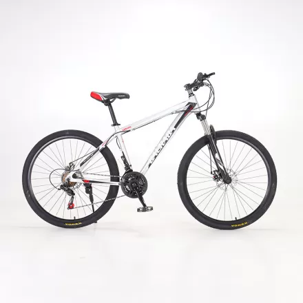 Aluminum Alloy Double Disc Brake Speed Off Road Bicycle Adult Mountain Bike