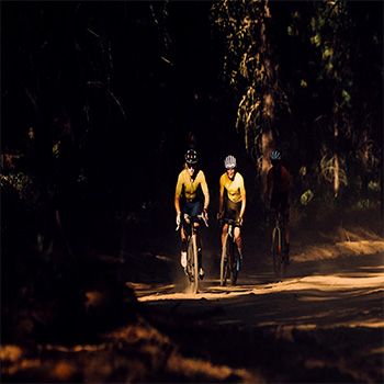 Alchemy Ambassador Highlight Variable Speed Adult Road Bike