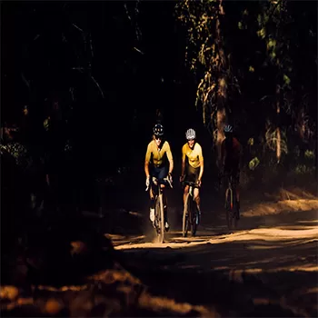 Alchemy Ambassador Highlight Variable Speed Adult Road Bike