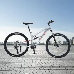 Aluminum Alloy Soft Tail Double Shock Absorption 10 Speed Bicycle Off Road Mountain Bike