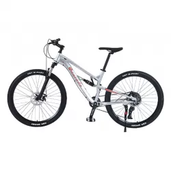 Aluminum Alloy Soft Tail Double Shock Absorption 10 Speed Bicycle Off Road Mountain Bike