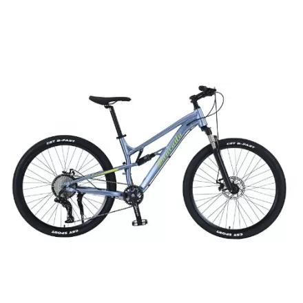 Aluminum Alloy Soft Tail Double Shock Absorption 10 Speed Bicycle Off Road Mountain Bike