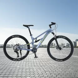 Aluminum Alloy Soft Tail Double Shock Absorption 10 Speed Bicycle Off Road Mountain Bike