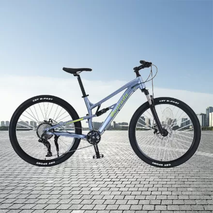 Aluminum Alloy Soft Tail Double Shock Absorption 10 Speed Bicycle Off Road Mountain Bike
