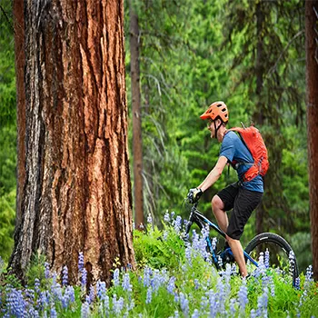 Future Trends In OEM And Mountain Biking