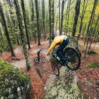 What Does OEM Stand For In Mountain Biking?