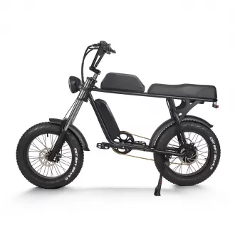 20 Inch Electric Bicycle For Adults Power Assist Off Road Mountain Bike With Lithium Battery For Shock Absorption