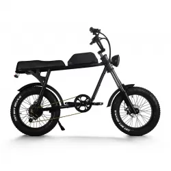 20 Inch Electric Bicycle For Adults Power Assist Off Road Mountain Bike With Lithium Battery For Shock Absorption